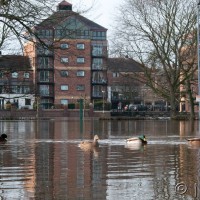 York Flooding Dec 2009 1013 1107